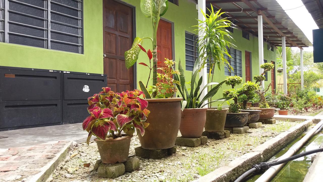 Tony'S Guesthouse At Teluk Bahang Batu Feringgi Buitenkant foto